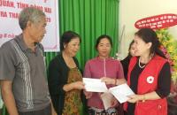 T.Ư HỘI CHỮ THẬP ĐỎ VIỆT NAM: HỖ TRỢ KHẨN CẤP NGƯỜI DÂN BỊ THIỆT HẠI DO MƯA LŨ Ở ĐỒNG NAI